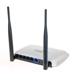 РУТЕР NETIS WF-2419