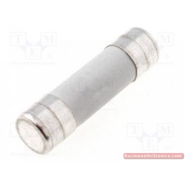 ПРЕДПАЗИТЕЛ B10X38T-1A