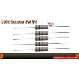 R110K/2W
