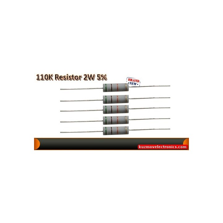 R110K/2W