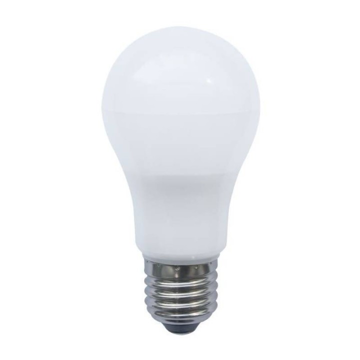 LED LAMP GLOBE E27/10W 6400K