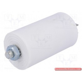 C10MF/450VAC