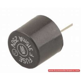 ФУС R N5 - 0.25А