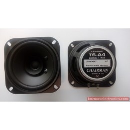 ГОВОРИТЕЛ TS-A4  4 OM/20W