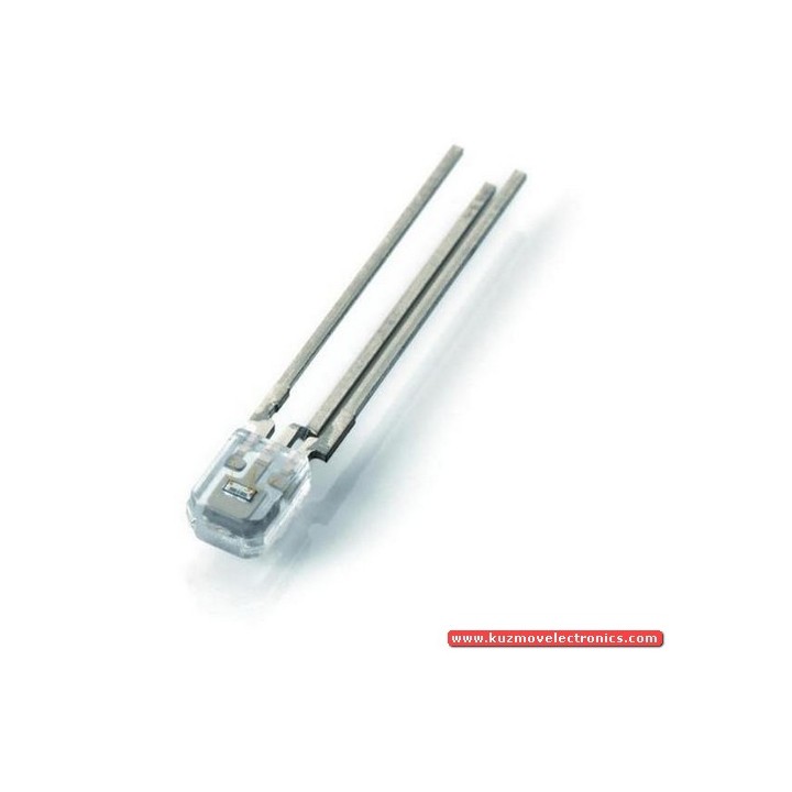 GA1A1S100WP SMD