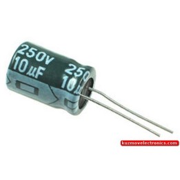 C10MF/250V BH 105 DEG